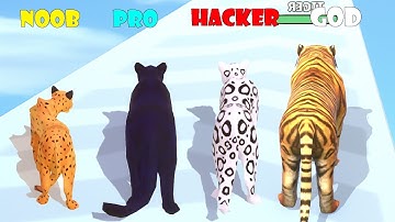 NOOB vs PRO vs HACKER vs GOD - Cat Evolution!