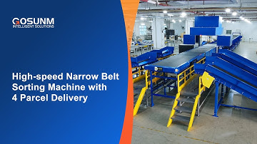 High-speed Narrow Belt Sorter with 4 Parcel Delivery
