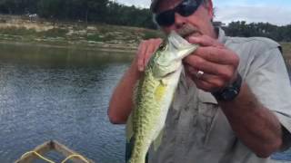 Electro shock Fish Survey with Mock Ranches