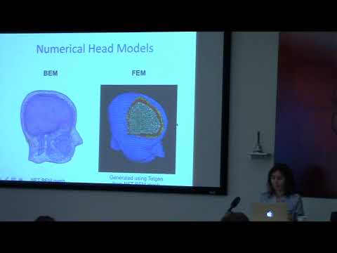 シェイデル敦子「THE BRAIN 最先端の脳科学プログラム」 THE BRAIN 最先端の脳科学プログラム】シェイデル敦子 整体 整骨
