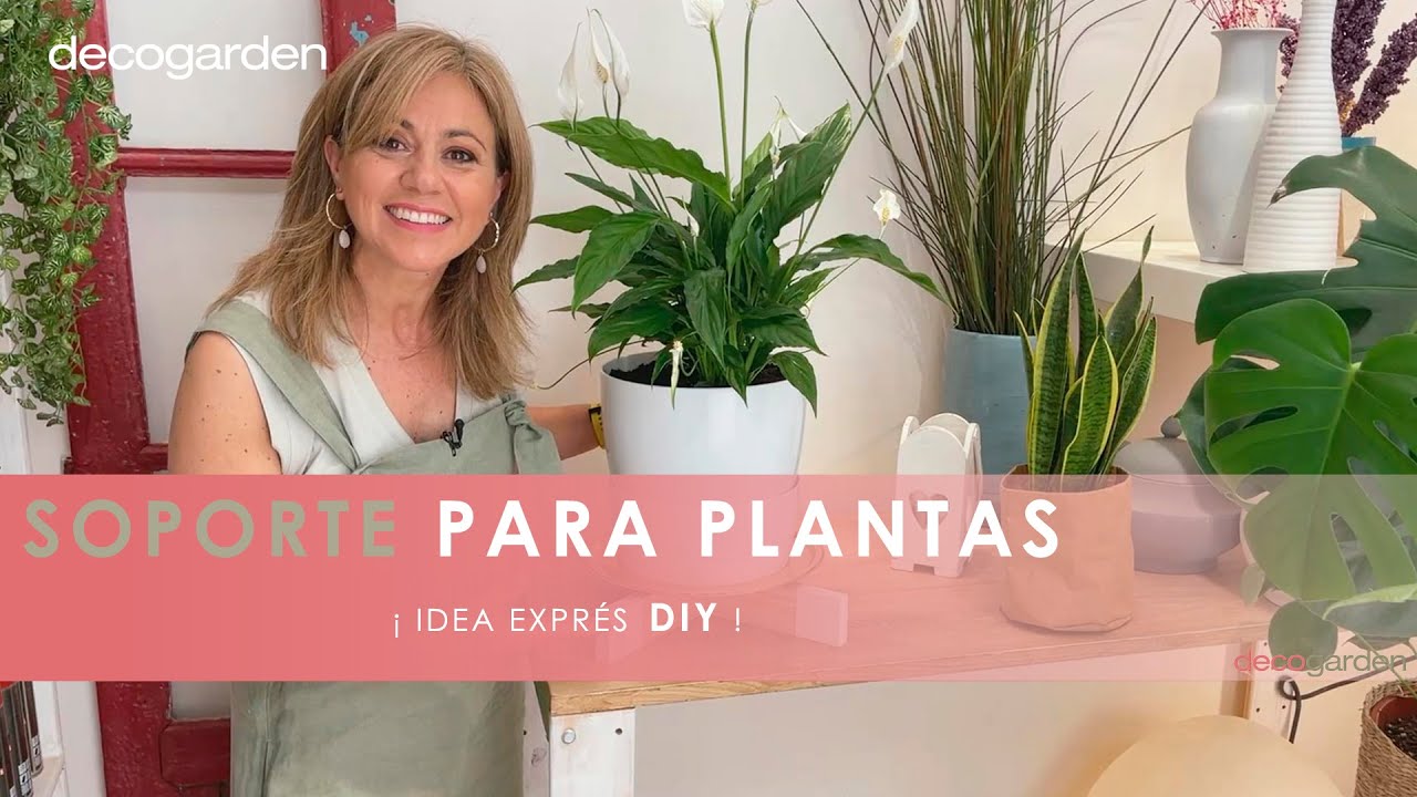 Marco Para Trepar Plantas, Pinzas Para Jardín, Plantas De Interior Maceta De Plastico Con Celosia Marco Para Trepar Plantas, Pinzas Para Jardín, Plantas De Interior Maceta De Plastico Con Celosia