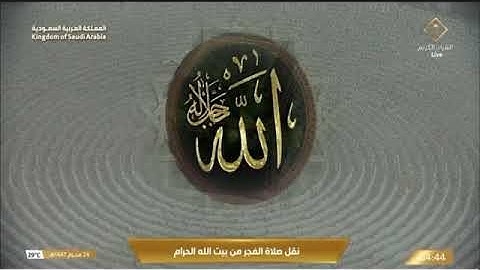 قصة نوح مع ابنه بترتيل فاق الوصف من الشيخ د. #بندر_بليلة من سورة هود 36-49 فجر السبت 24 محرم 1447هـ