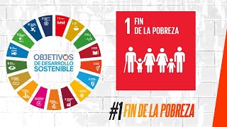 Details 🌍Objetivos de Desarrollo Sostenible (𝗢𝗗𝗦) 🇺🇳 - #1 Fin de la Pobreza Update