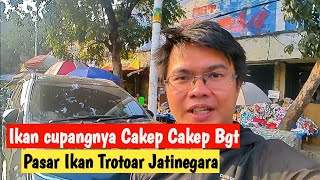 Update Ikan Cupang di Trotoar Pasar Ikan Jatinegara