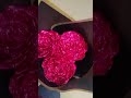 dm for order#shorts #viralshorts #flowers #reels #reels #beautiful #diy #trending #handmade #viral