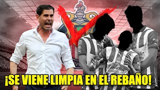 🔥Fernando Hierro HARÁ LIMPIA EN CHIVAS❌ | Noticias chivas | Rumores chivas