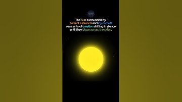 What ORBITS Around the Sun Besides Planets?  ☀️🌠*️⃣🌌
