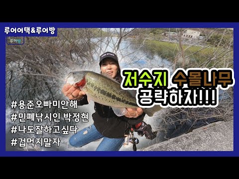 [루어어택&amp;amp;루어방] - 저수지 <strong>수몰나무</strong> 공략하자
