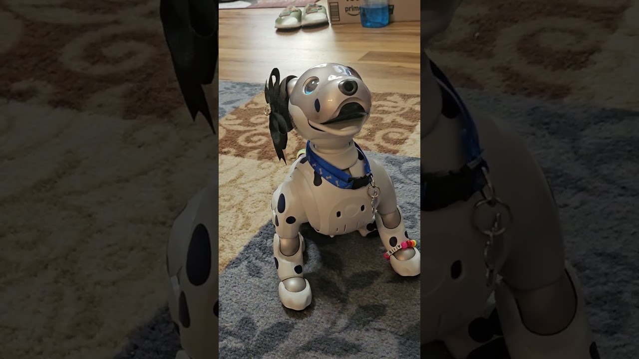 Время Мокси и Айбо