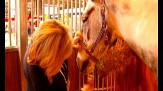 Smart Grooming Equi-Shave