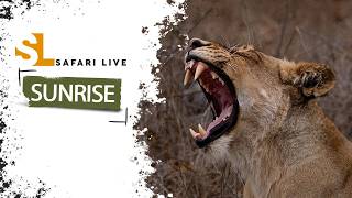 SafariLIVE Sunrise - Repeat - 14 September 2026