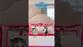 KOCIE MEMY 😼 POV: Dynamika relacji: Tata vs córka #catmemes #koty #memy #relatable #relacje