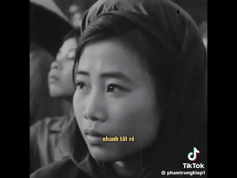 Bác hồ