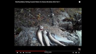 Newfoundland, Fishing Coastal Waters for Searun Brookies 2024 Part 1
