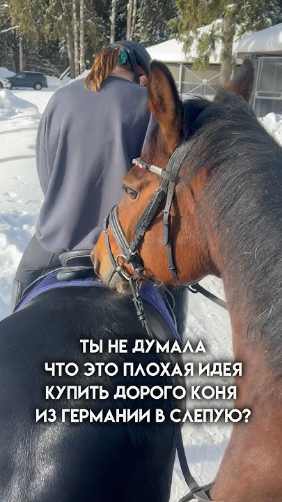 Кто не рискует тот не пьет шампанское 🥂 - YouTube