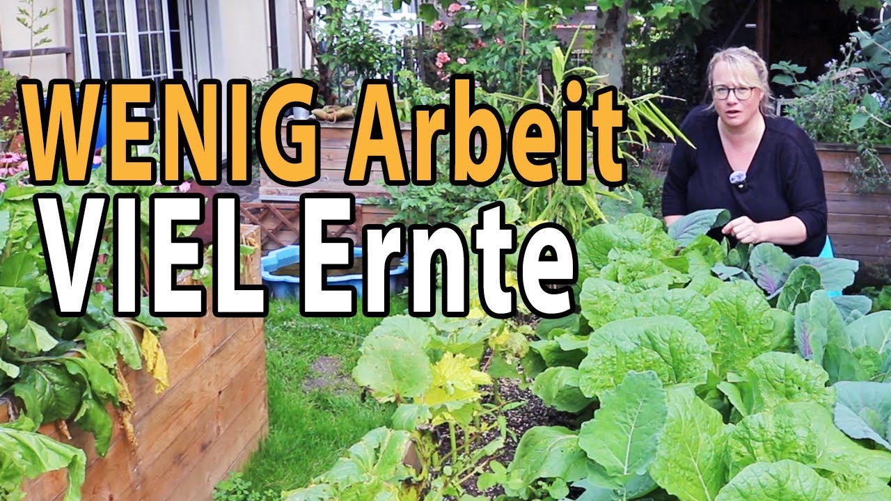 3 pflegeleichte Gemüsesorten für Selbstversorger–kaum Aufwand, große Ernte! | Rezept veganes Kimchi