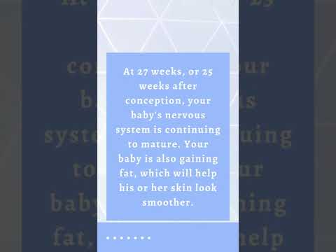 Baby Growth In