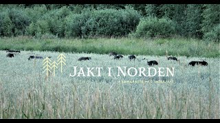 Jakt i Norden - Vildsvinsjakt på Röhls gård Del1/2