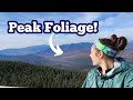 Hiking 10 Miles to the BEST VIEW of New Hampshire&#39;s 4,000 Footers | Peak Foliage on Mt. Carrigain