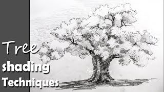 Watch step by work of pencil strokes & shading.
..........................................................................
sunday- watercolor tut...