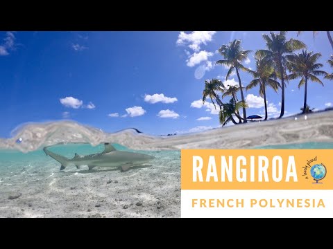 Things to do in Rangiroa, French Polynesia