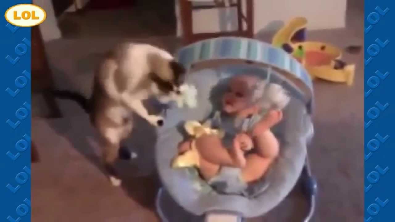 смешные ролики про детей и животных - YouTube