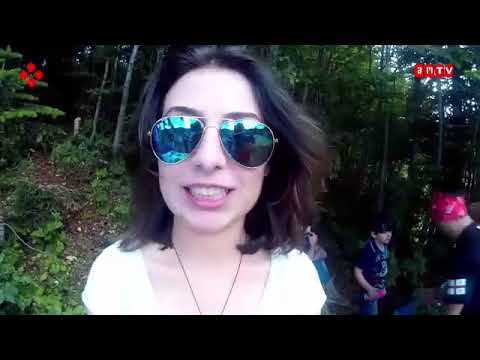 ნეტავ არწივად მაქცია