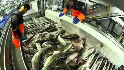 Driving Transformational Change