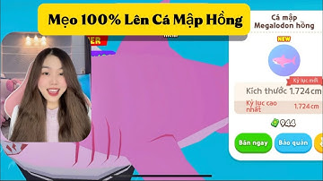MẸO 100% CÂU CÁ MẬP MEGALODON HỒNG, HẢI LY HỒNG THÀNH CÔNG | Play Together