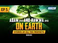 Adam as  hawwa as on earth  ep 5  stories of the prophets series