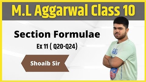 Class 10 | M.L  Aggarwal | Section Formulae | Ex 11 | Part 06