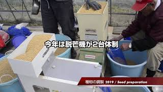 種籾の調製2019