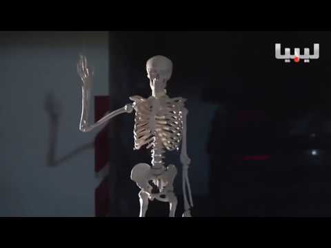 كاميرا كاشي الهيكل العظمي 