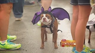 Announcing The 2015 Petfest