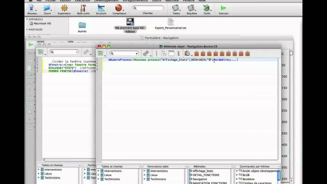 Autoformation 4D v13 : Process - YouTube