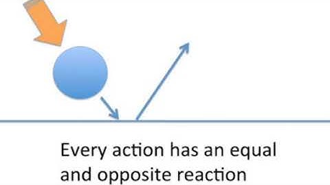 CC Cycle 2 Week 18 Science Newton