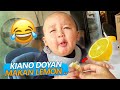 KIANO TERNYATA SUKA BUAH LEMON !!! YA ALLAH KIANO LUCU BANGET 😂😂😂