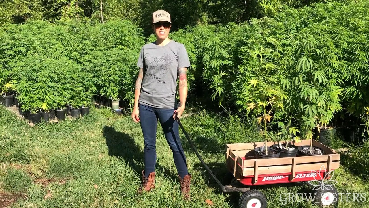 The Grow Sisters want you to grow Your Own!