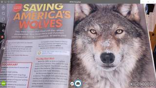 Week 7 Saving America's Wolves