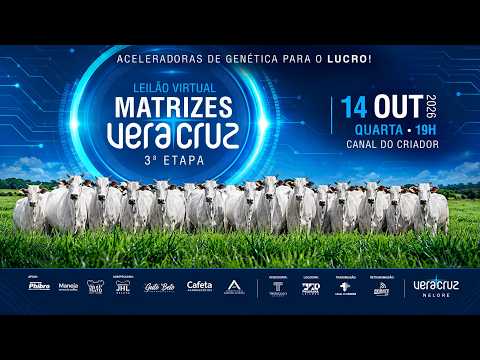 LOTE 11   FVC 16361