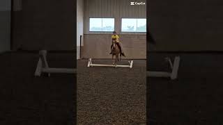 why are we over jumping a pole…