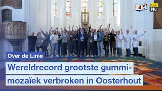 Wereldrecord Grootste Gummimozaïek Verbroken In Oosterhout Over De Linie