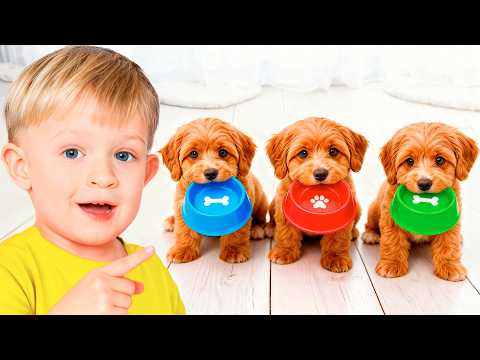 Pets & Animal Stories for Kids