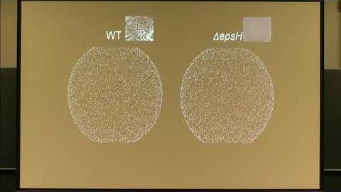 Munehiro Asally | Plenary Lecture 10: tba