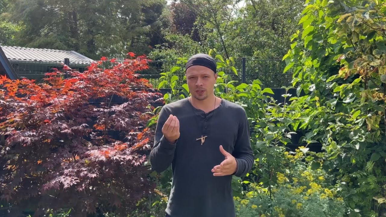 How to progress FASTER in Handstand  🙌