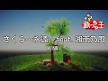 【カラオケ】さくら~永遠~feat.湘南乃風/MINMI