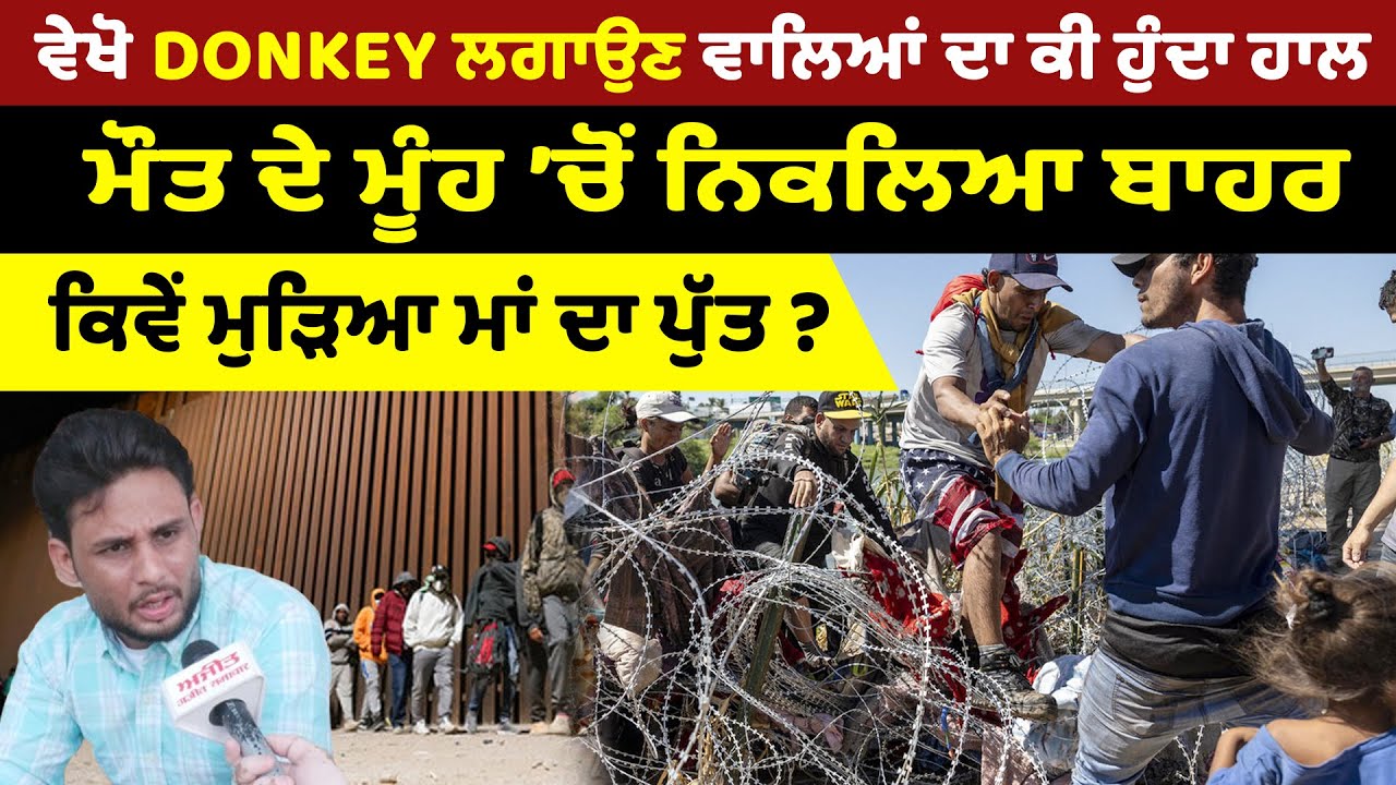 🔴 LIVE : ਵੇਖੋ Donkey ਲਗਾਉਣ ਵਾਲਿਆਂ ਦਾ ਕੀ ਹੁੰਦਾ ਹਾਲ ?