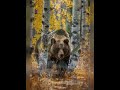Bär, Stimmen des Waldes