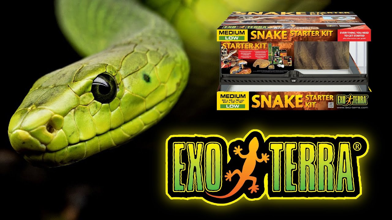 Exo terra snake starter kit 60x45x30