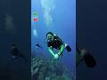 Into the Blue with Rahul Gandhi 🌊| Andaman Nicobar Islands | Great Nicobar Project